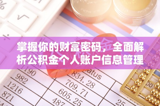 麒麟掌握你的财富密码，全面解析公积金个人账户信息管理与优化