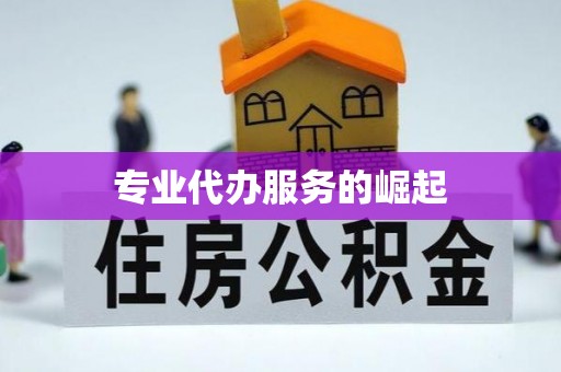 麒麟专业代办服务的崛起