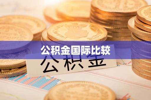 麒麟公积金国际比较